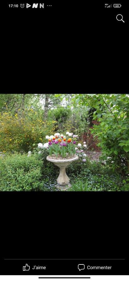 Petit Coin De Paradis Fontaine-les-Luxeuil Екстер'єр фото